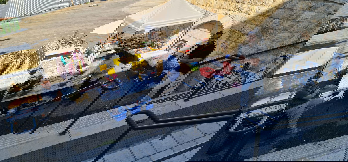 זופניק בכיכר • כל התמונות והנייעס של השבוע