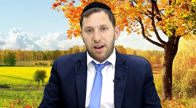 הרב נפתלי וסרמן על פרשת בלק • צפו