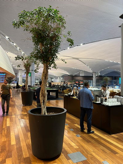 הטרקלין בנתב"ג: הטיסה מתאחרת? אתם שם בחינם