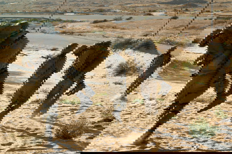 כך זה נראה בזמן אמת, בתרגיל