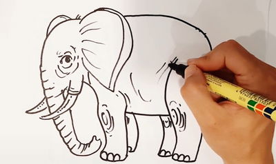 תעסוקה לילדים בשישי: לומדים לצייר... 'פיל'