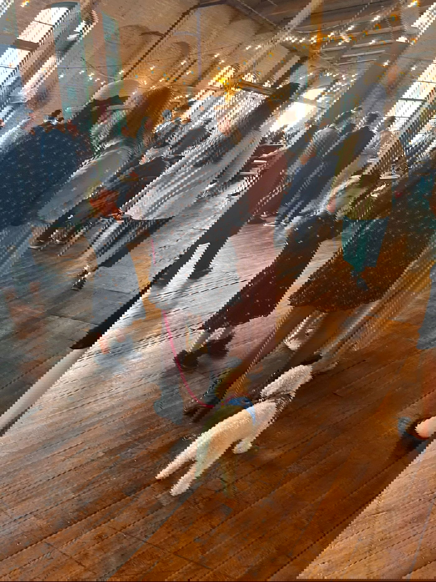 הזמר החסידי מיילך קהאן התחתן בגיל 53