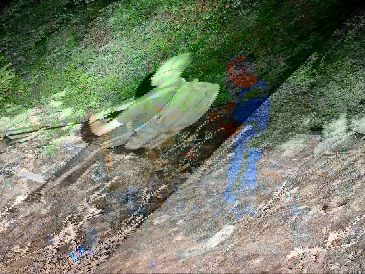 החיפושים היום