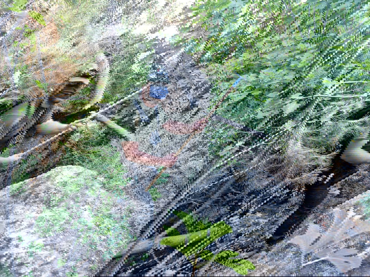 שלושה מישורי בדיקה: מתרחבים החיפושים אחר מוישי קליינרמן