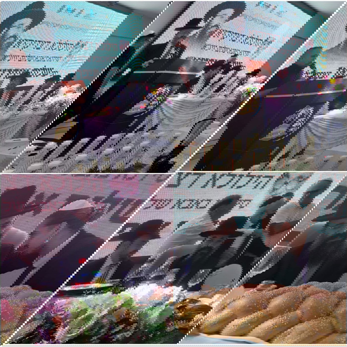 זופניק בכיכר • כל התמונות והנייעס של השבוע