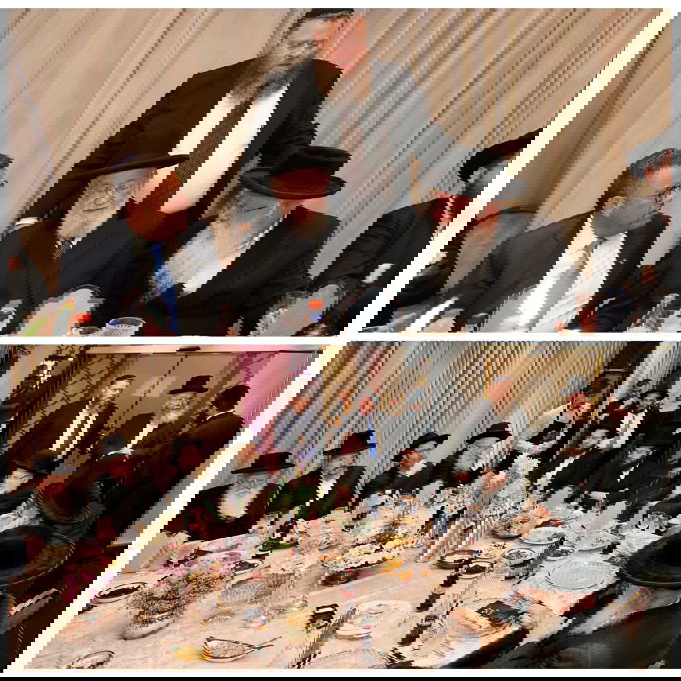 זופניק בכיכר • כל התמונות והנייעס של השבוע