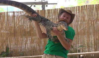 הלטאה השנייה בגודלה בעולם • תיעוד קרוב