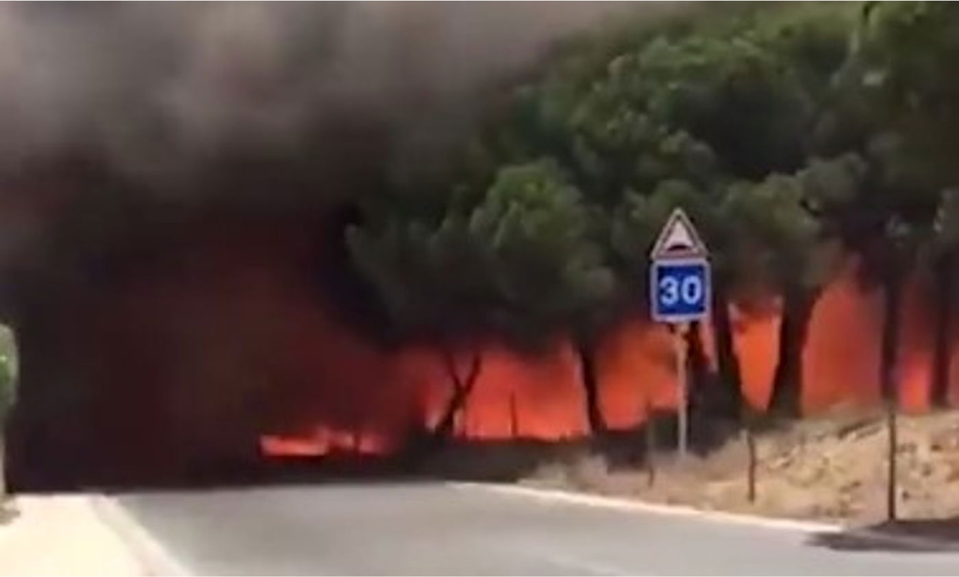 בני זוג שניסו להימלט נשרפו; היום הכי חם אי פעם בבריטניה