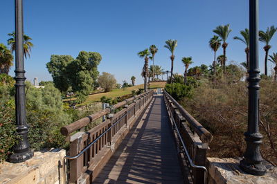 התחזית: עומס חום כבד עד קיצוני ברוב הארץ