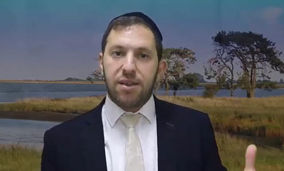 הרב נפתלי וסרמן על פרשת מטות • צפו