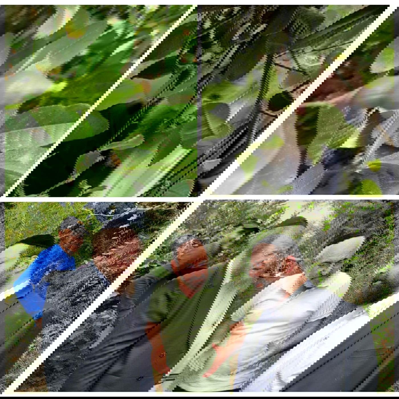 זופניק בכיכר • כל התמונות והנייעס של השבוע