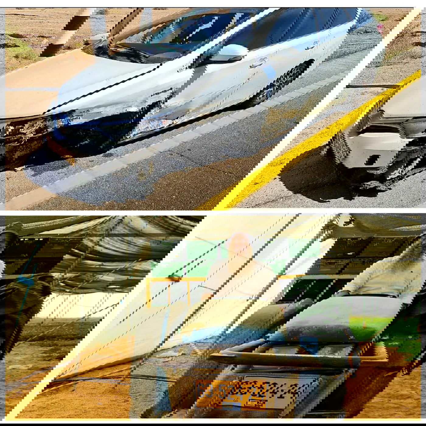 זופניק בכיכר • כל התמונות והנייעס של השבוע