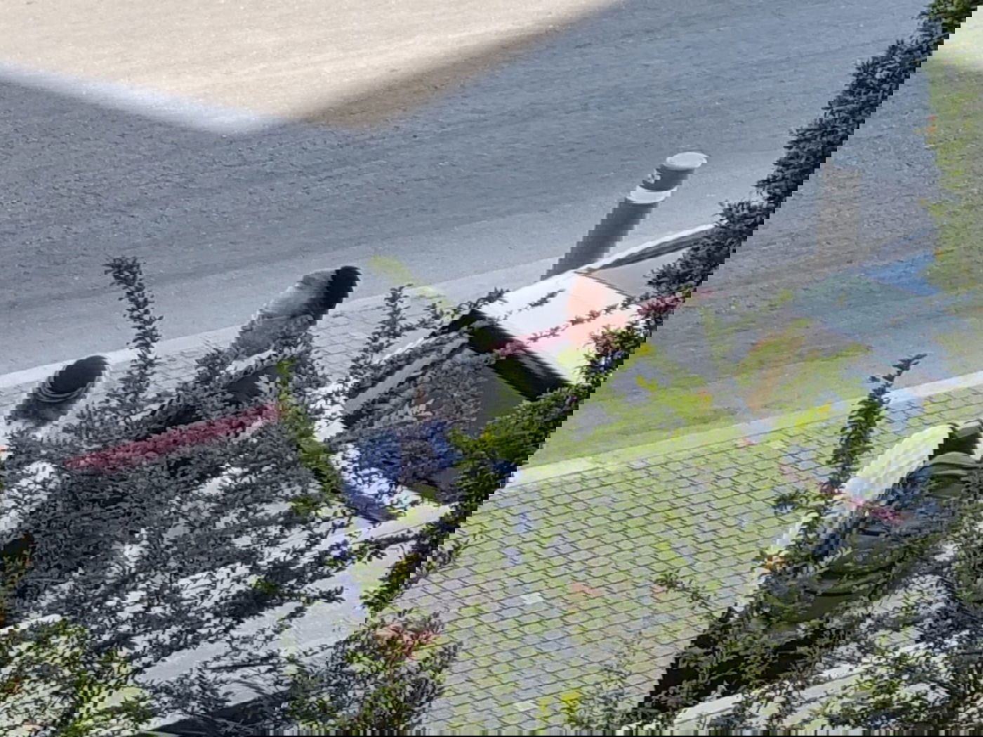 זופניק בכיכר • כל התמונות והנייעס של השבוע