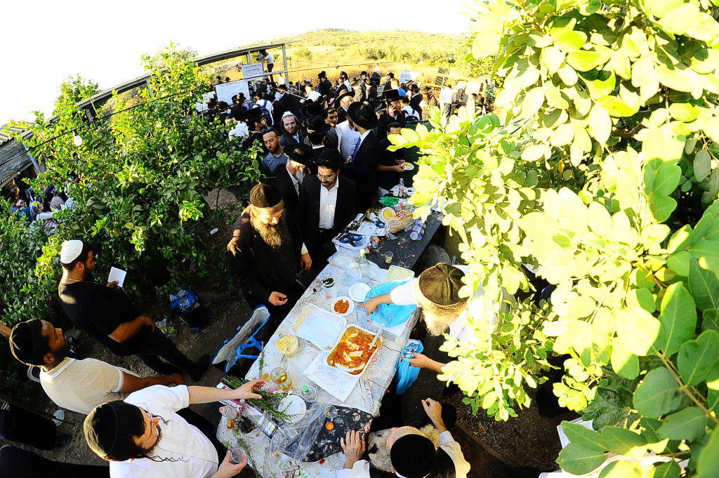 תיעוד: המונים השתתפו בהילולת הצדיק מעגו'ר