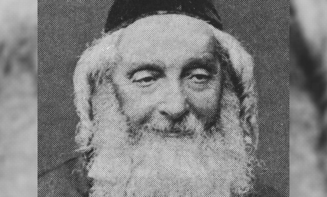 הנצי"ב מוולוזין