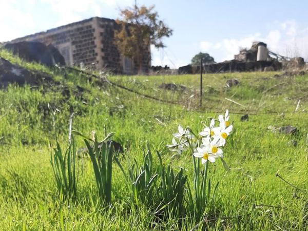 פעילות לקבוצות בחופש הגדול בנהריים בגשר