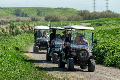 פעילות לקבוצות בחופש הגדול בנהריים בגשר