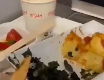 מנת הלזניה עם הנחש