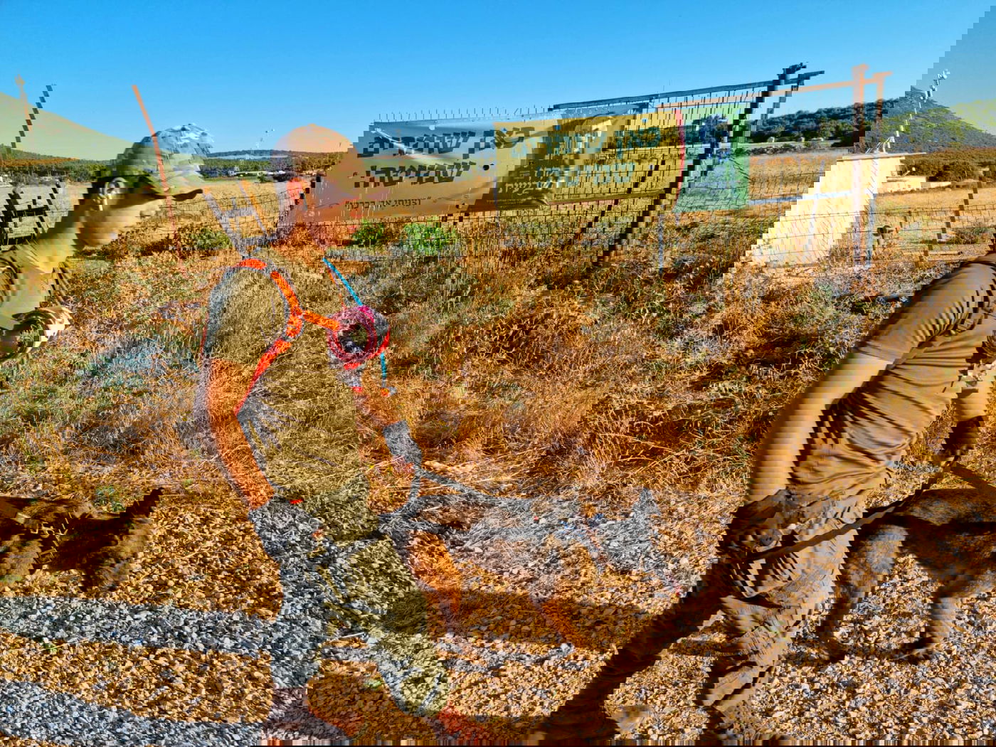 עם אפליקציה ייחודית שמסמנת: נמשכים החיפושים אחר קליינרמן