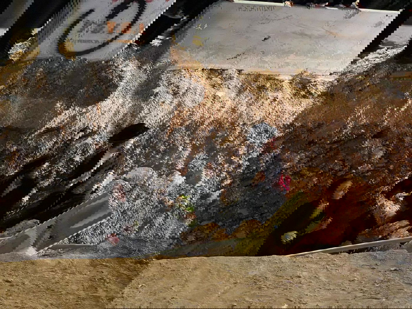 ההפגנה נגד הרכבת הקלה, אמש