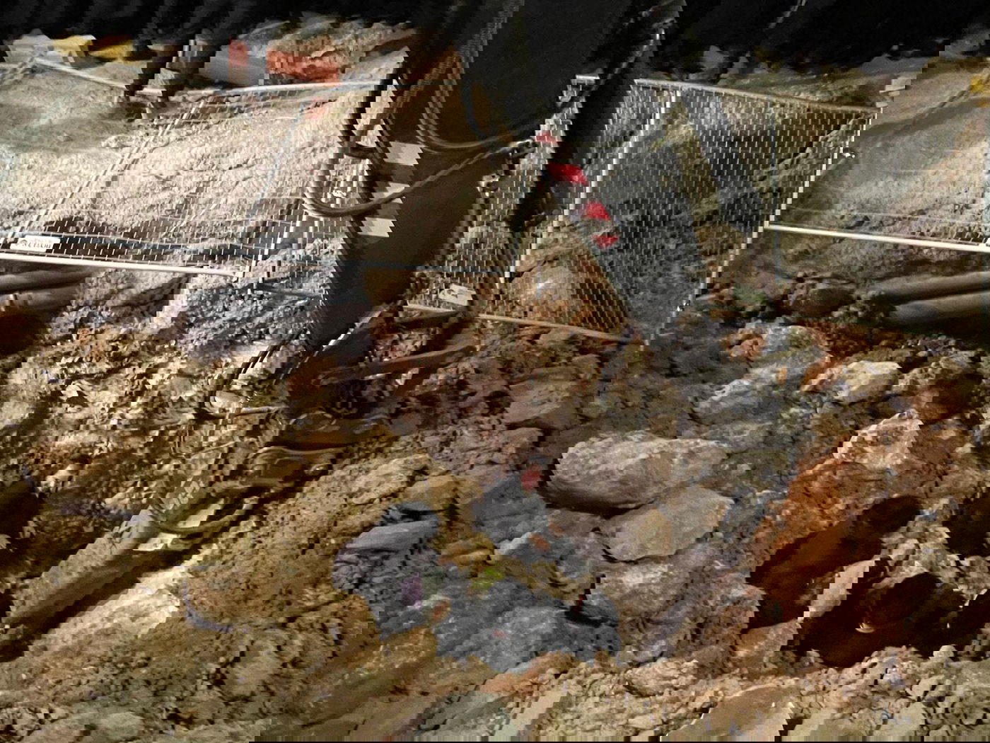 ההפגנה נגד הרכבת הקלה, אמש