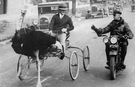 גלריה היסטורית: השוטרים ההזויים של פעם