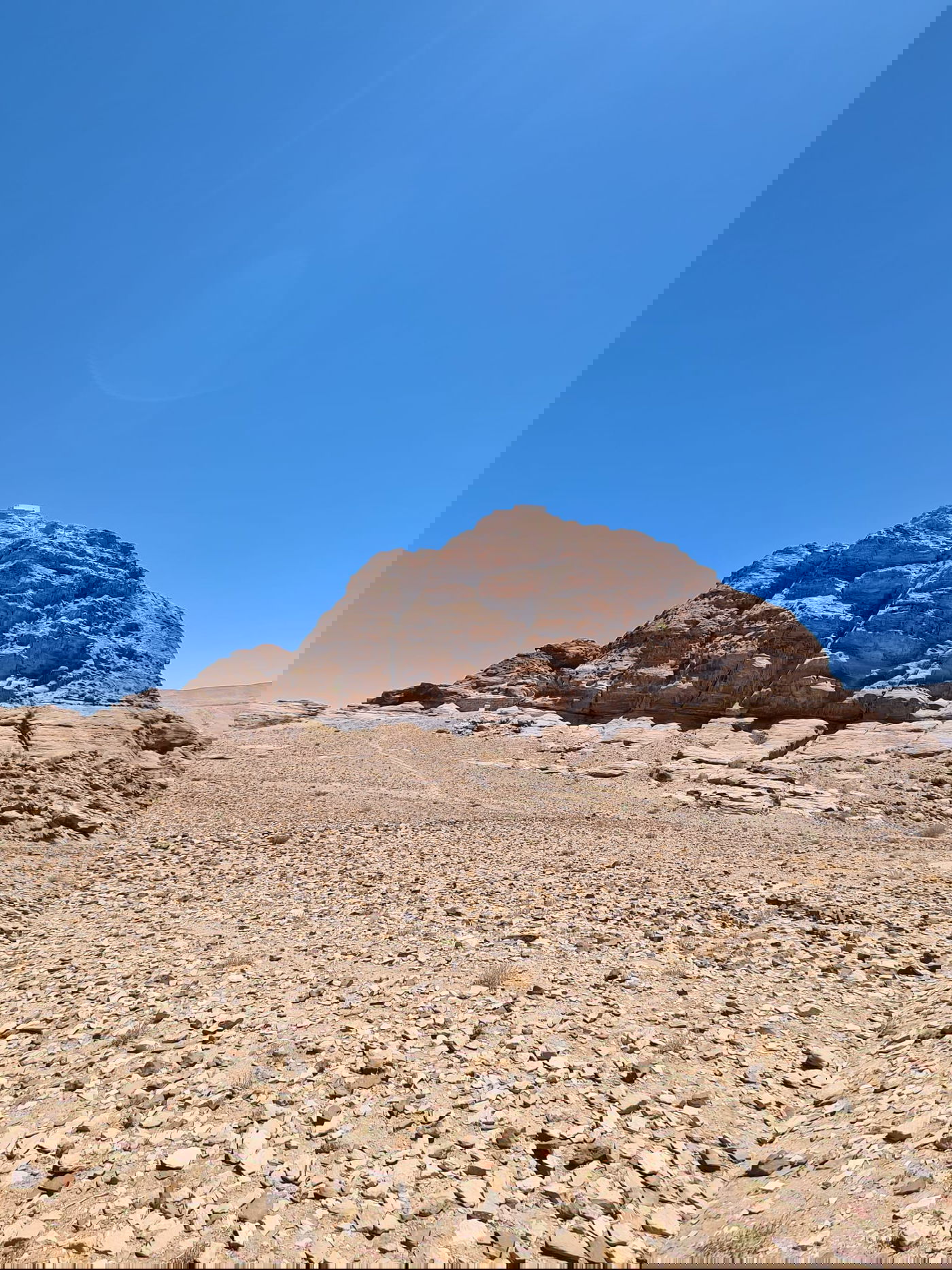 היהודים שהצליחו להגיע לקבר אהרן הכהן • צפו