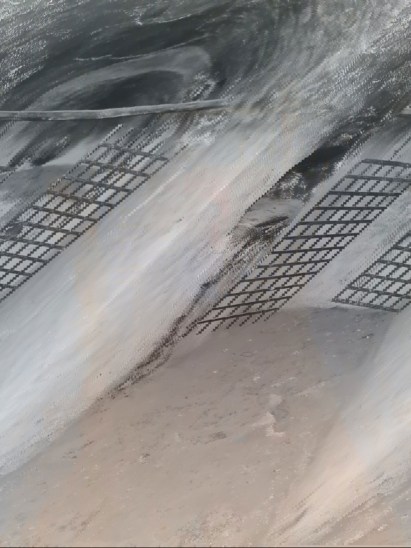 היהודים שהצליחו להגיע לקבר אהרן הכהן • צפו