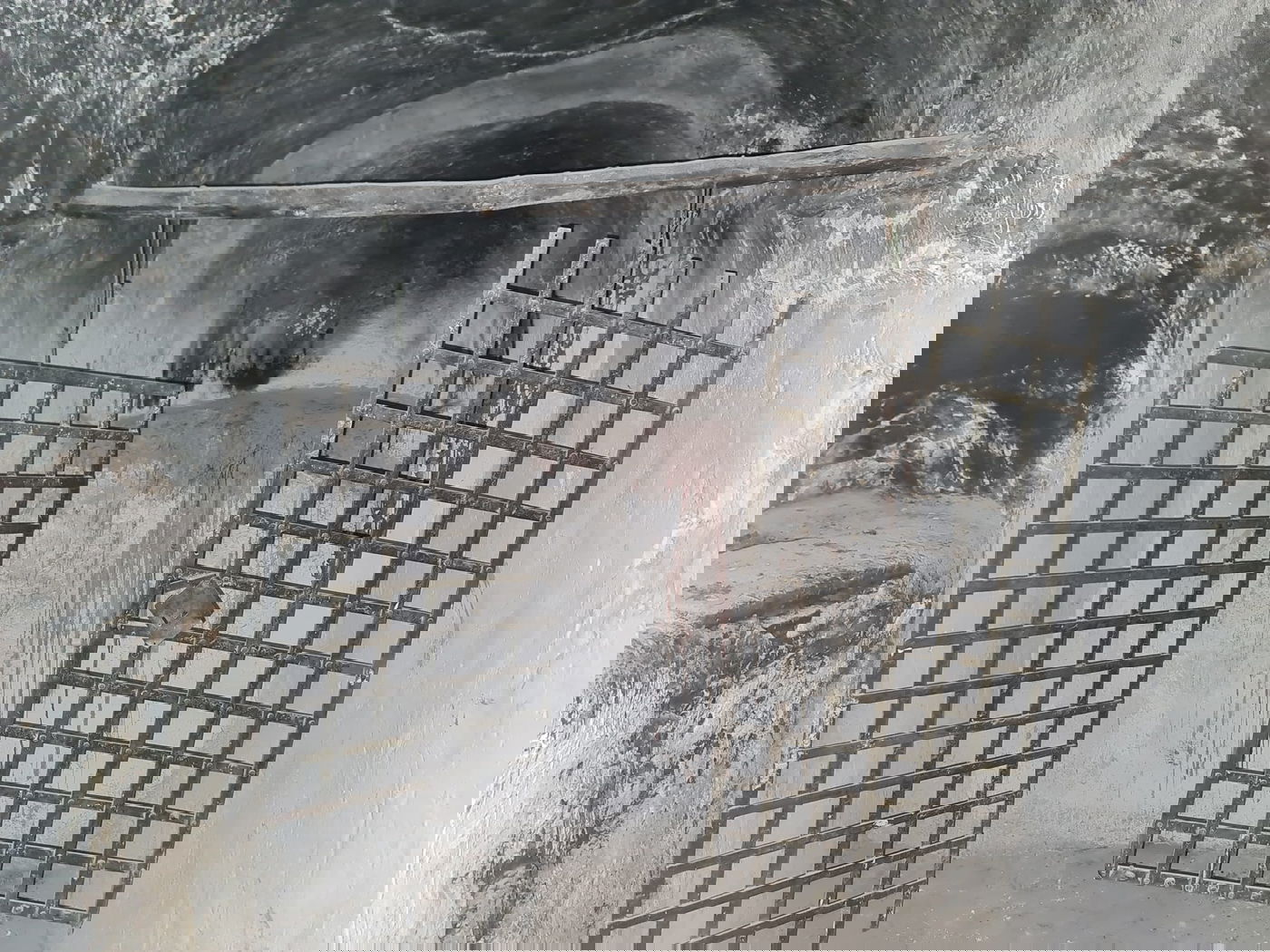 היהודים שהצליחו להגיע לקבר אהרן הכהן • צפו