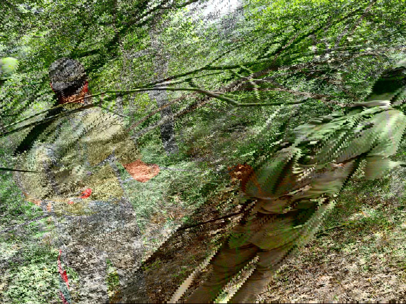 החיפושים אחר קליינרמן, בשבוע שעבר