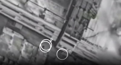 "ראיתי בעצים ילדים מתרוצצים"