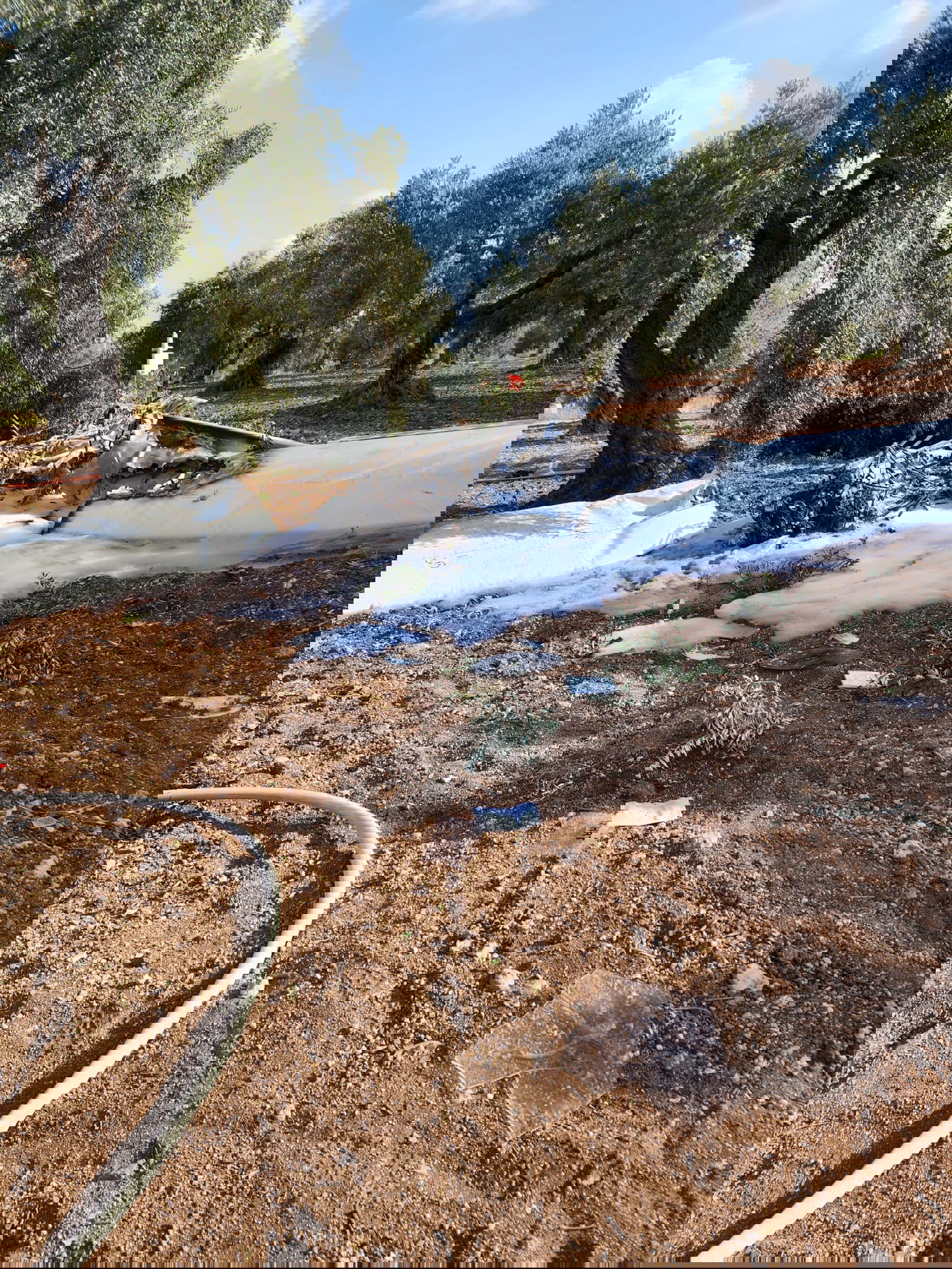 בן 70 נהרג בהתרסקות מטוס קל במטע זיתים