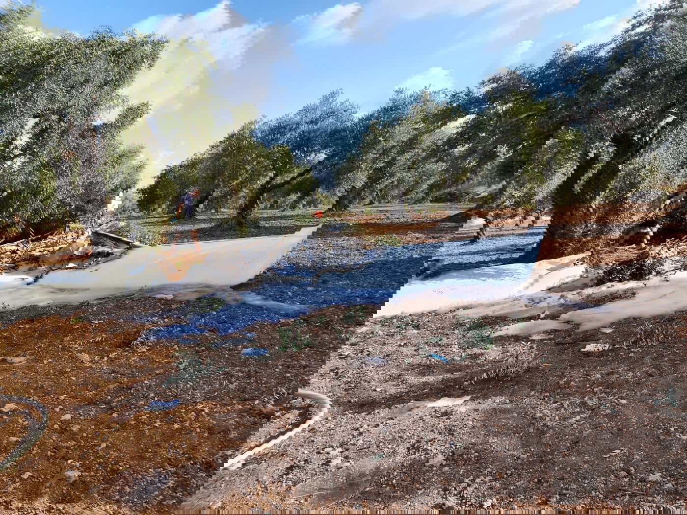 בן 70 נהרג בהתרסקות מטוס קל במטע זיתים