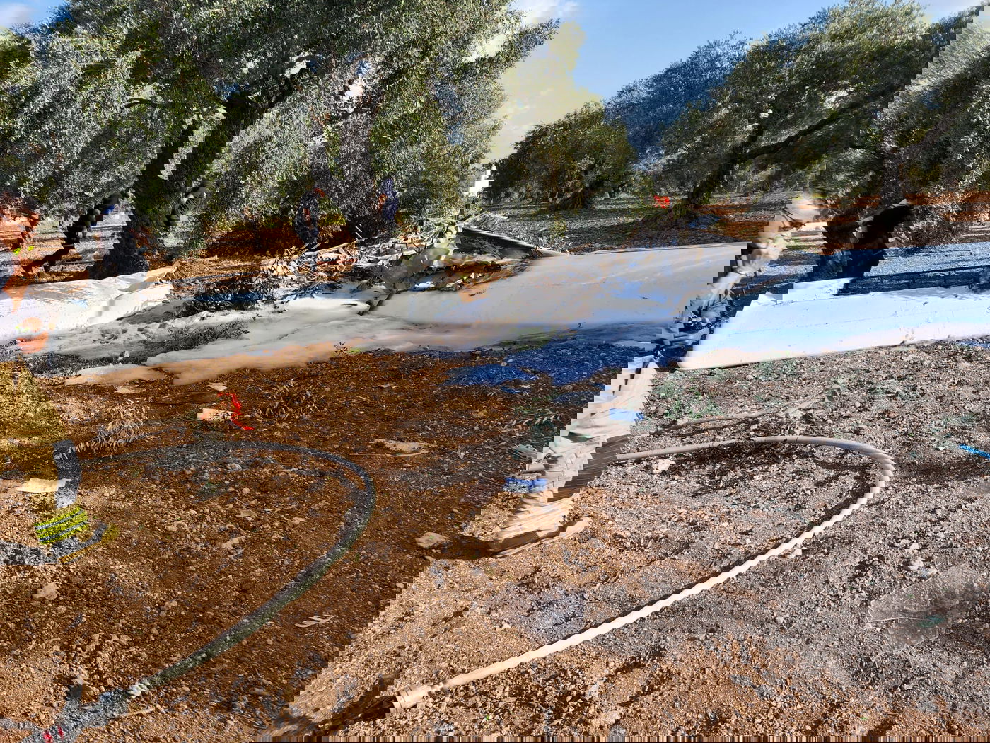 בן 70 נהרג בהתרסקות מטוס קל במטע זיתים