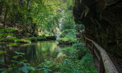 פארק בשוויץ