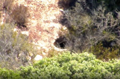 החיפושים בצפון הארץ