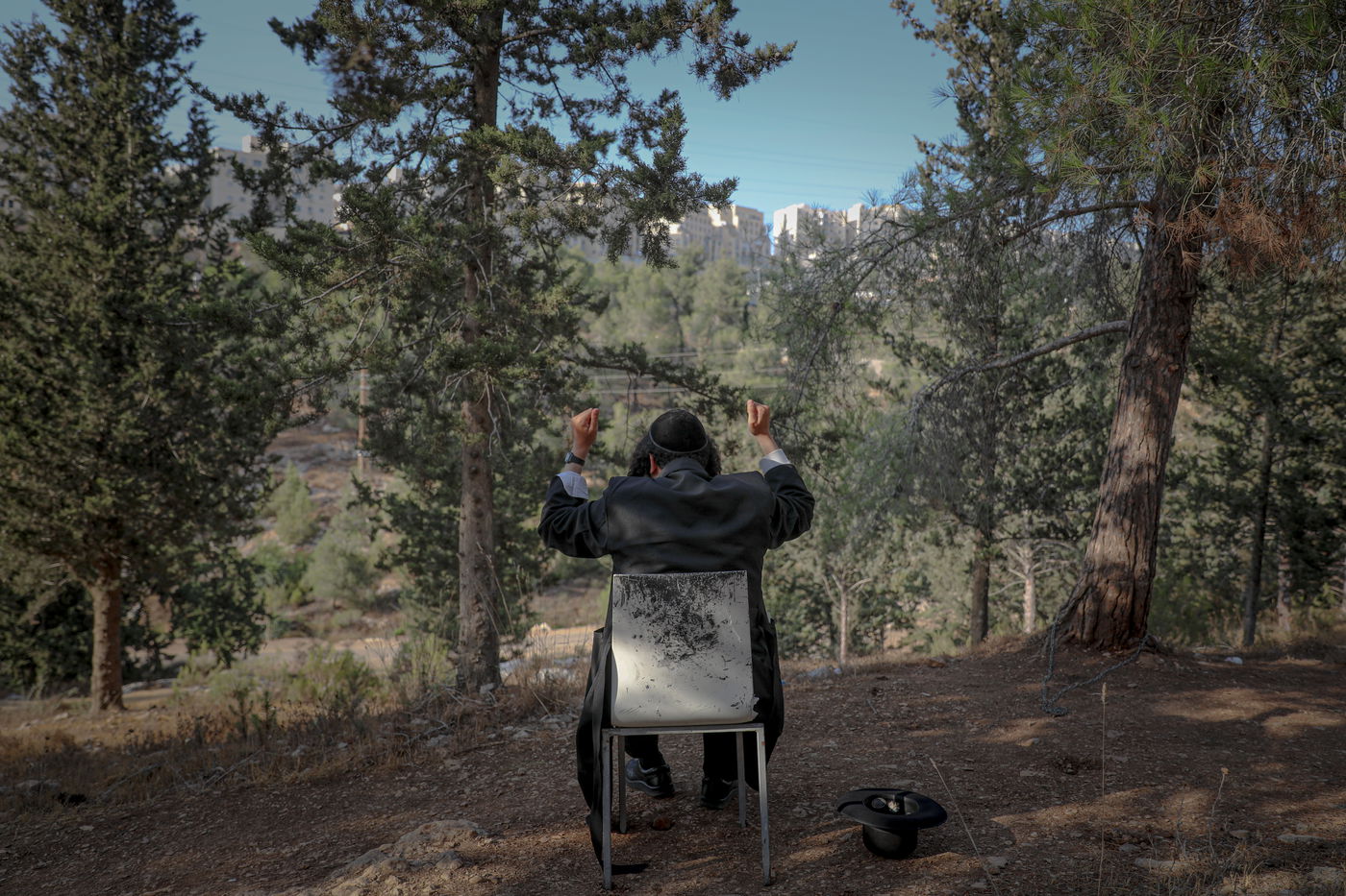 תופעה חדשה: התבודדות ביער סנהדריה