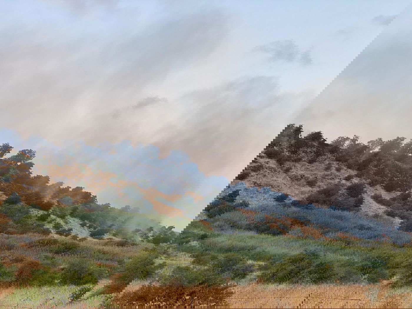 לוחמי האש יצאו לכבות את השריפה בגליל