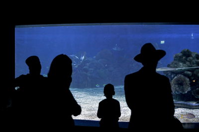 האקווריום בירושלים