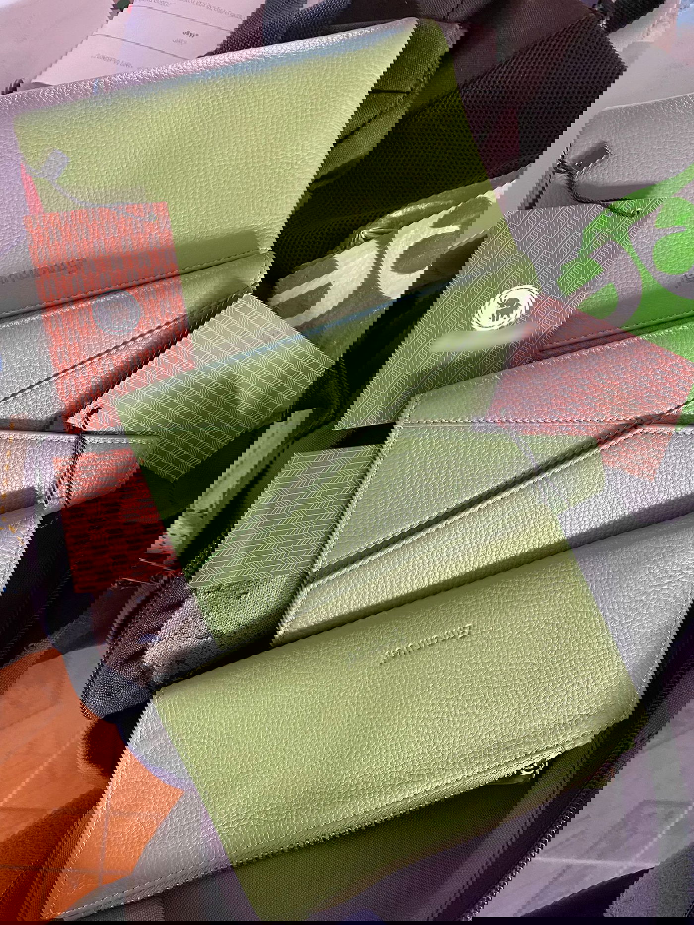 הצעירה ניצלה את מארחיה - ושדדה אותם