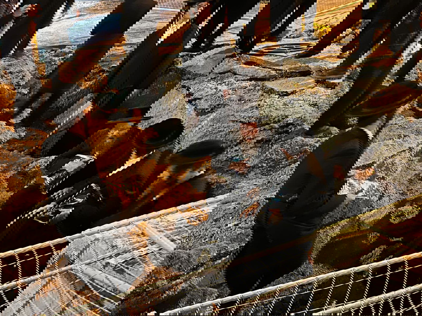 לראשונה מאז פטירת הגאב"ד: מחאת הרכבת חזרה