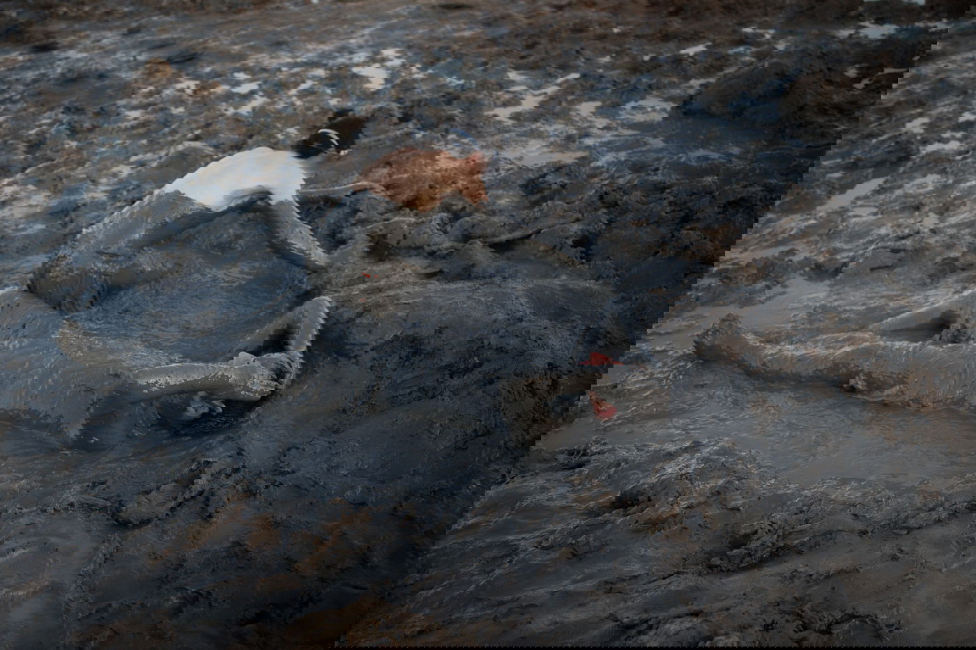 בין הזמנים | אילוסטרציה