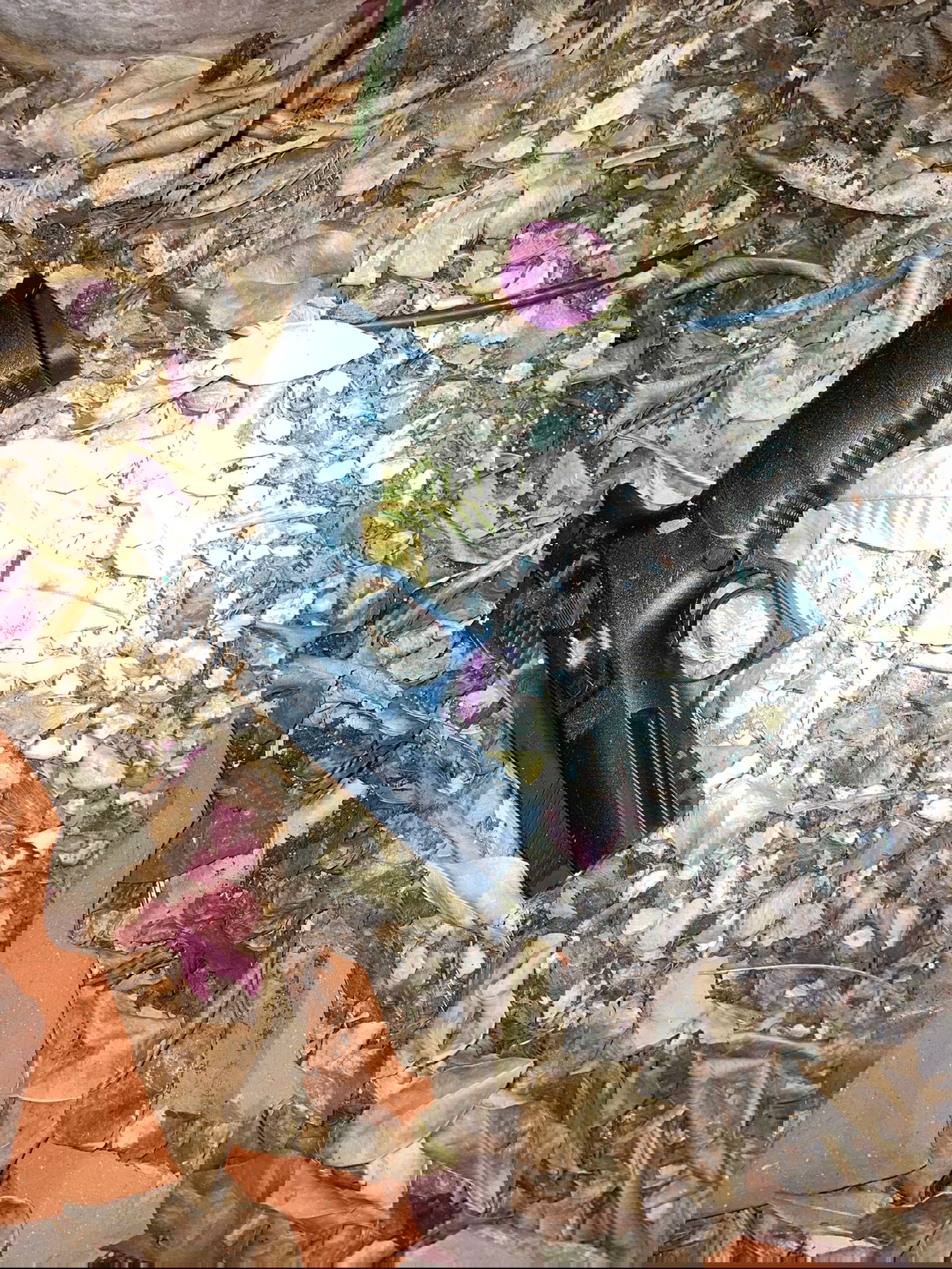 לאחר הירי ברחוב; קטין נפל מהאופנוע ונתפס