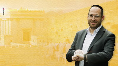 דוד זיתון בסינגל חדש: "זה הזמן"