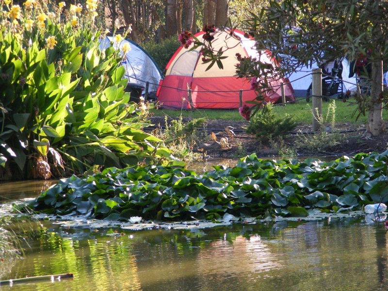 קיץ חוויתי במיוחד ברמת הגולן בקשת יהונתן