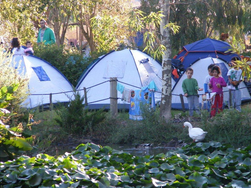 קיץ חוויתי במיוחד ברמת הגולן בקשת יהונתן