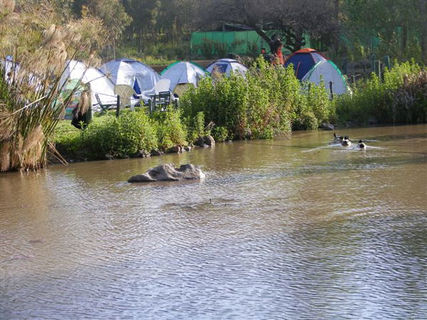 קיץ חוויתי במיוחד ברמת הגולן בקשת יהונתן