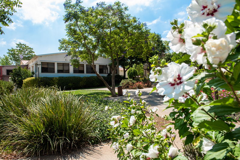 הכי חוויתי הכי מושלם