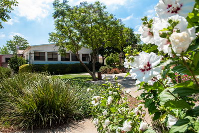 הכי חוויתי הכי מושלם