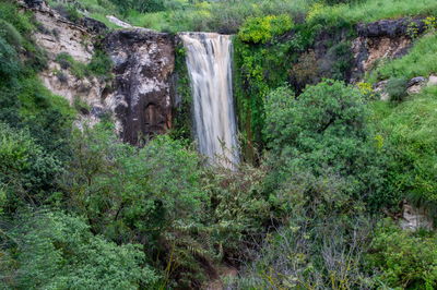 בתמונה הראשית: מפל מיצר